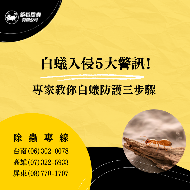 白蟻入侵５大警訊！該怎麼除白蟻才有效？預防白蟻入侵三步驟